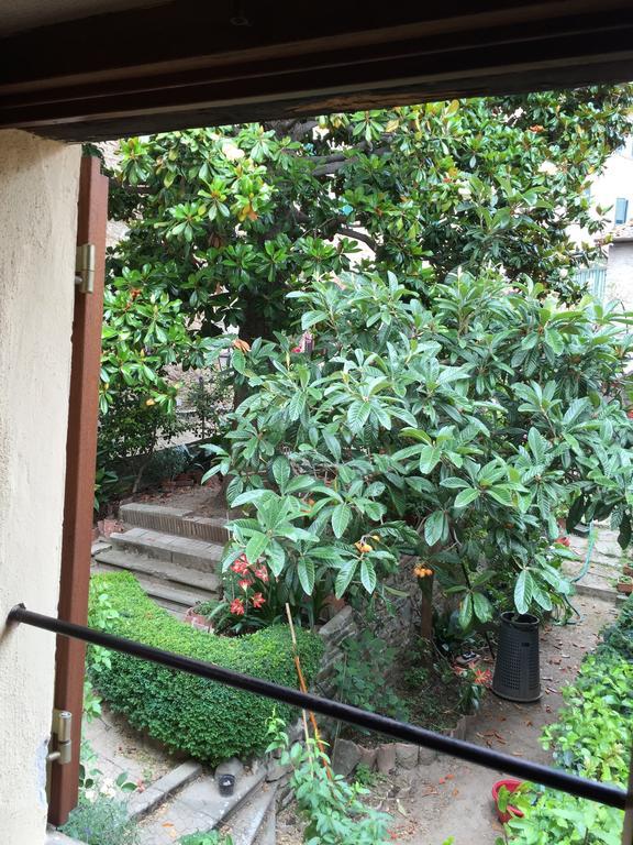 Locanda Petrella Bed & Breakfast Cortona